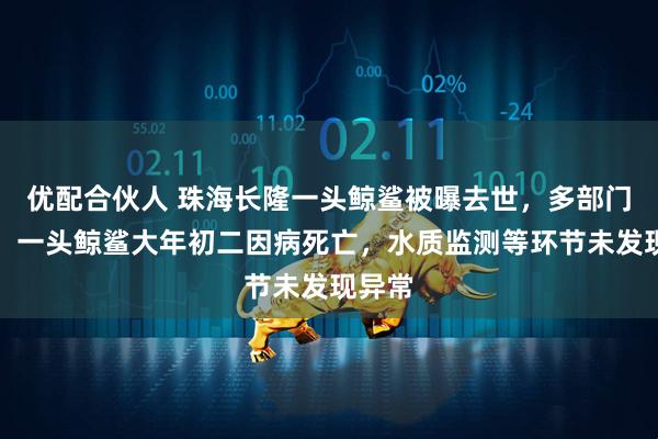 优配合伙人 珠海长隆一头鲸鲨被曝去世，多部门回应：一头鲸鲨大年初二因病死亡，水质监测等环节未发现异常