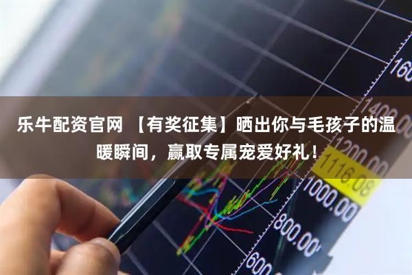 乐牛配资官网 【有奖征集】晒出你与毛孩子的温暖瞬间，赢取专属宠爱好礼！