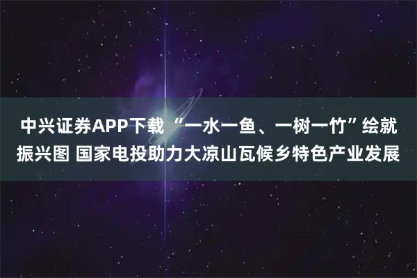 中兴证券APP下载 “一水一鱼、一树一竹”绘就振兴图 国家电投助力大凉山瓦候乡特色产业发展